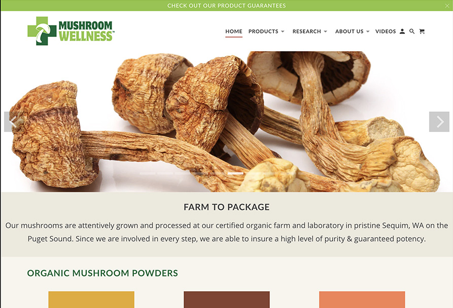 mushroom-wellness